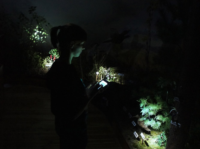 Zdjęcie: diorama sterowanie.jpg